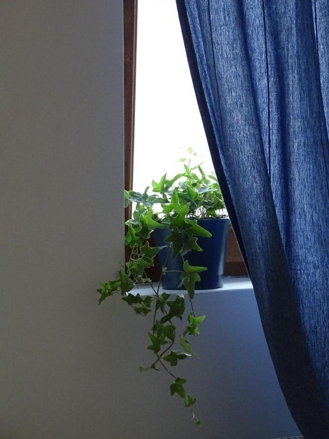 Blue Apartment Belgrade Extérieur photo